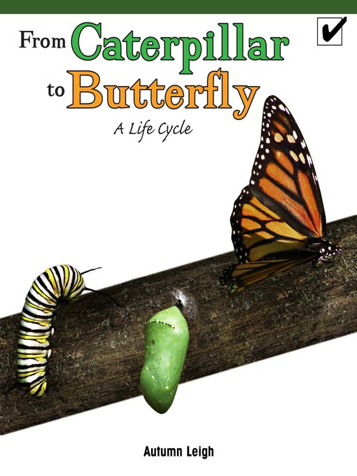 Cover of From Caterpillar to Butterfly